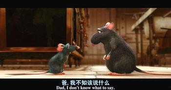 最新爆料老鼠事件新闻,最新老鼠事件引发公众关注,卫生安全问题亟待解决 第2张 最新爆料老鼠事件新闻,最新老鼠事件引发公众关注,卫生安全问题亟待解决 第2张